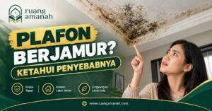 Biaya Perbaikan Plafon Berjamur