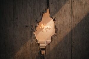 Desain Interior Kafe