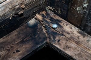 tanda - tanda atap perlu diganti