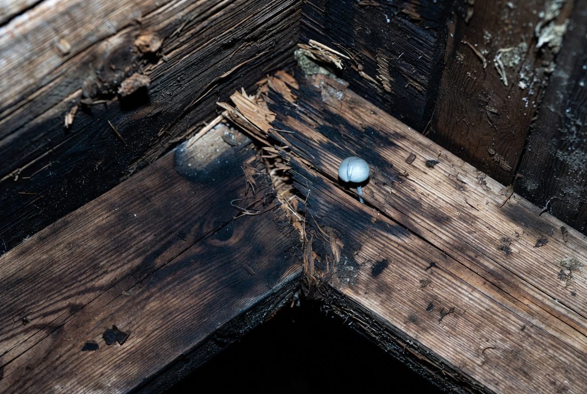 tanda - tanda atap perlu diganti