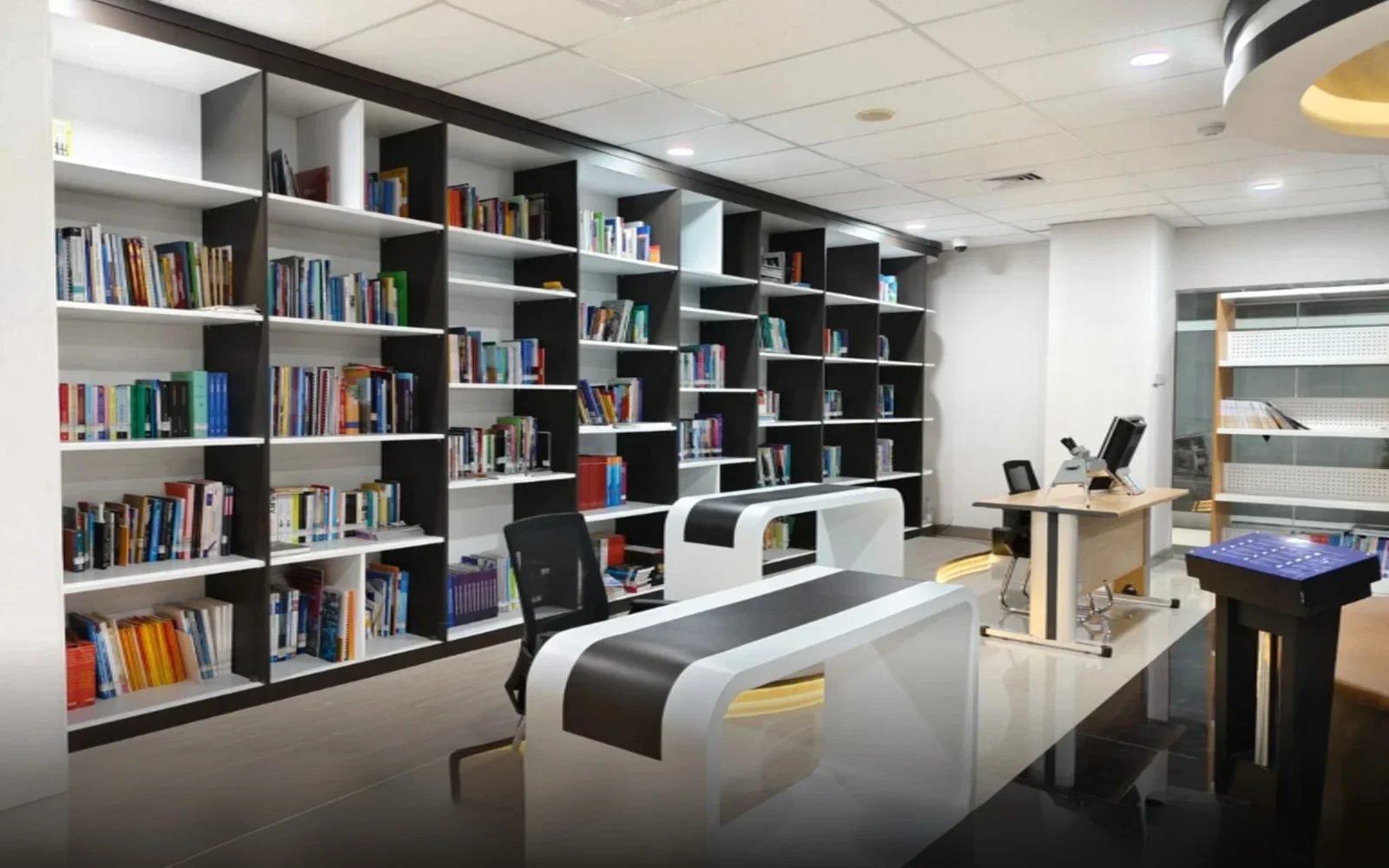 Untitled project-Layer 1 (33)