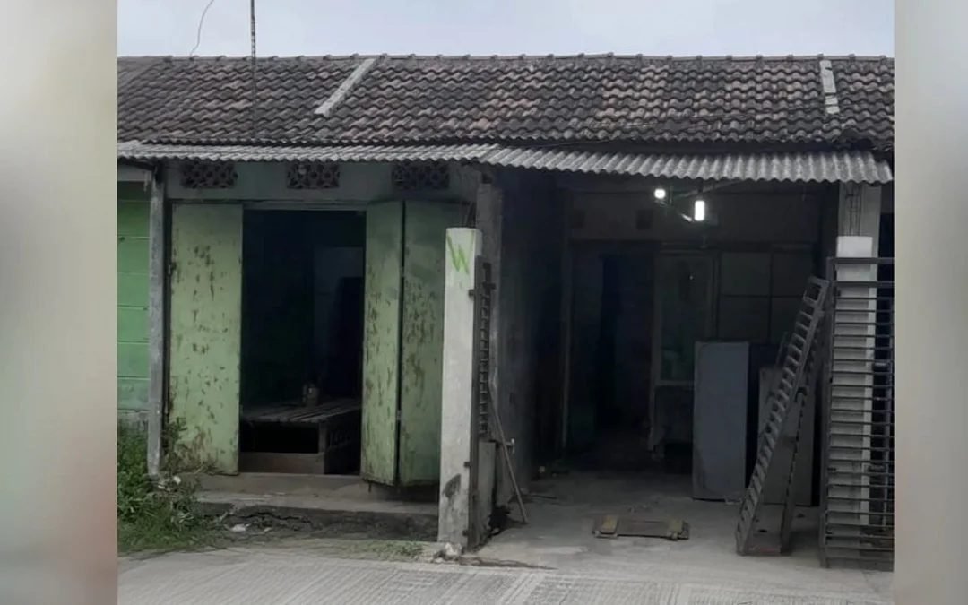 Untitled project-Layer 2 (30)