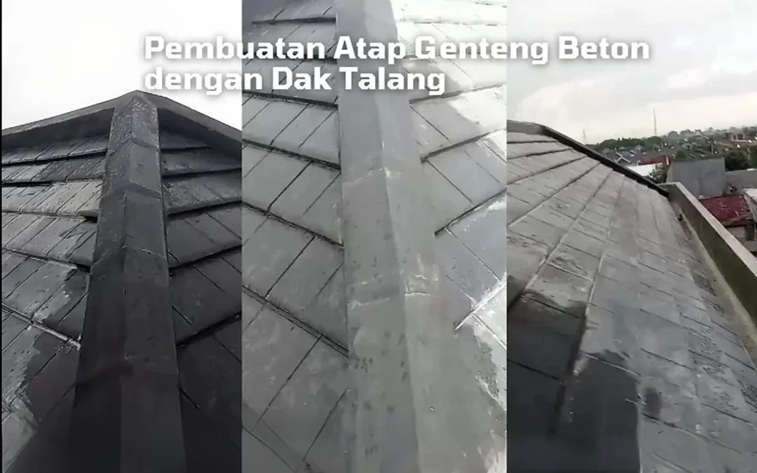 Untitled project-Layer 4 (3)