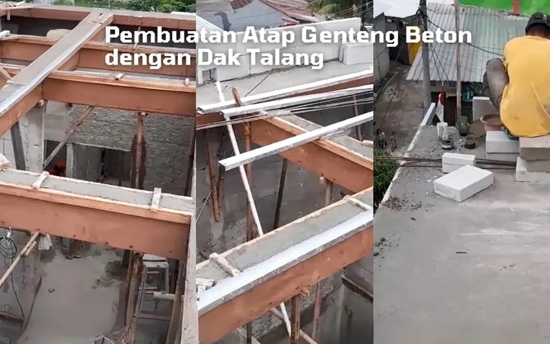 Untitled project-Layer 5 (1)