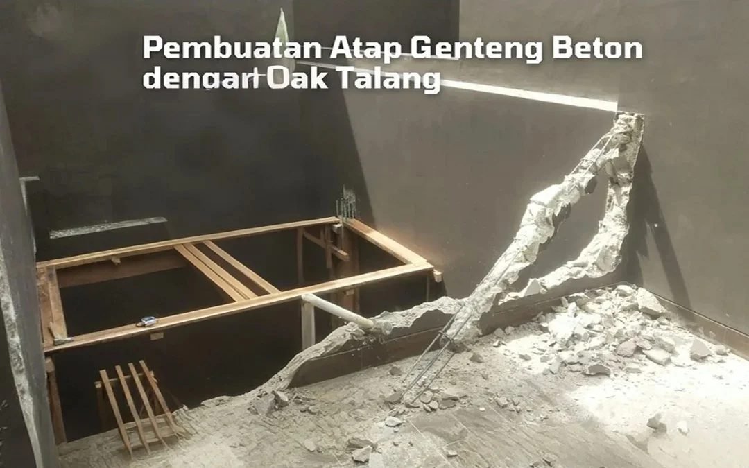 Untitled project-Layer 6 (1)